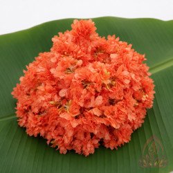 KANAGAMBRAM 6 FT