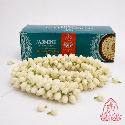JASMINE BIG BOX — 6 ft