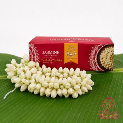 JASMINE SMALL BOX — 3 ft
