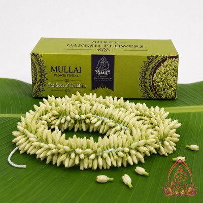 MULLAI STRINGS — 6 ft